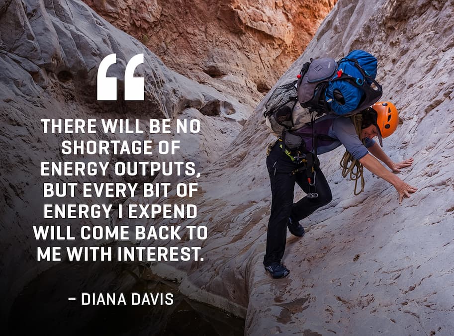 “There will be no shortage of energy outputs, but every bit of energy I expend will come back to me with interest.”  - Diana Davis
