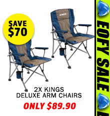 2 x Deluxe Arm Chair
