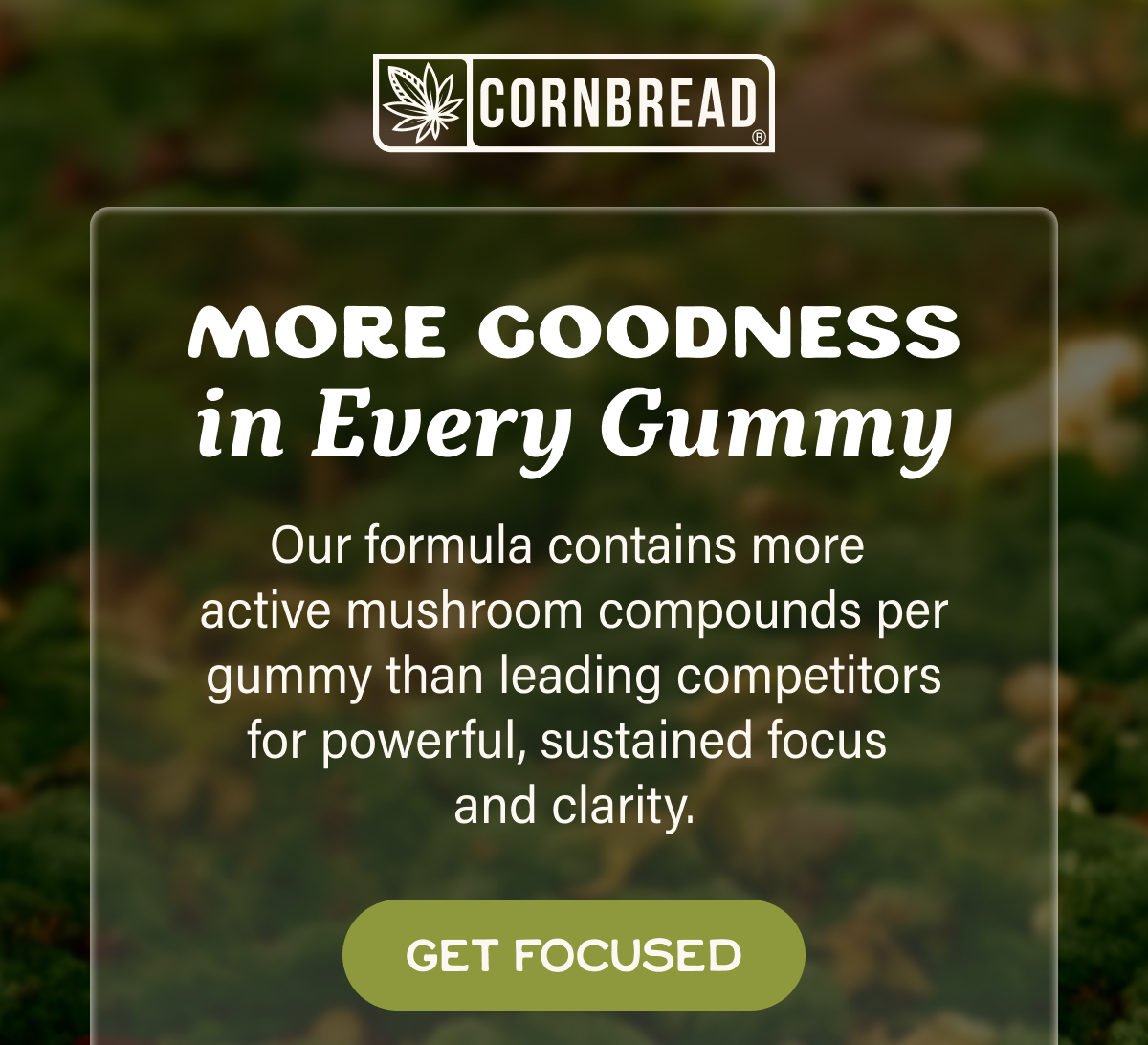 Focus Mushroom Gummies: More Goodness in Every Gummy