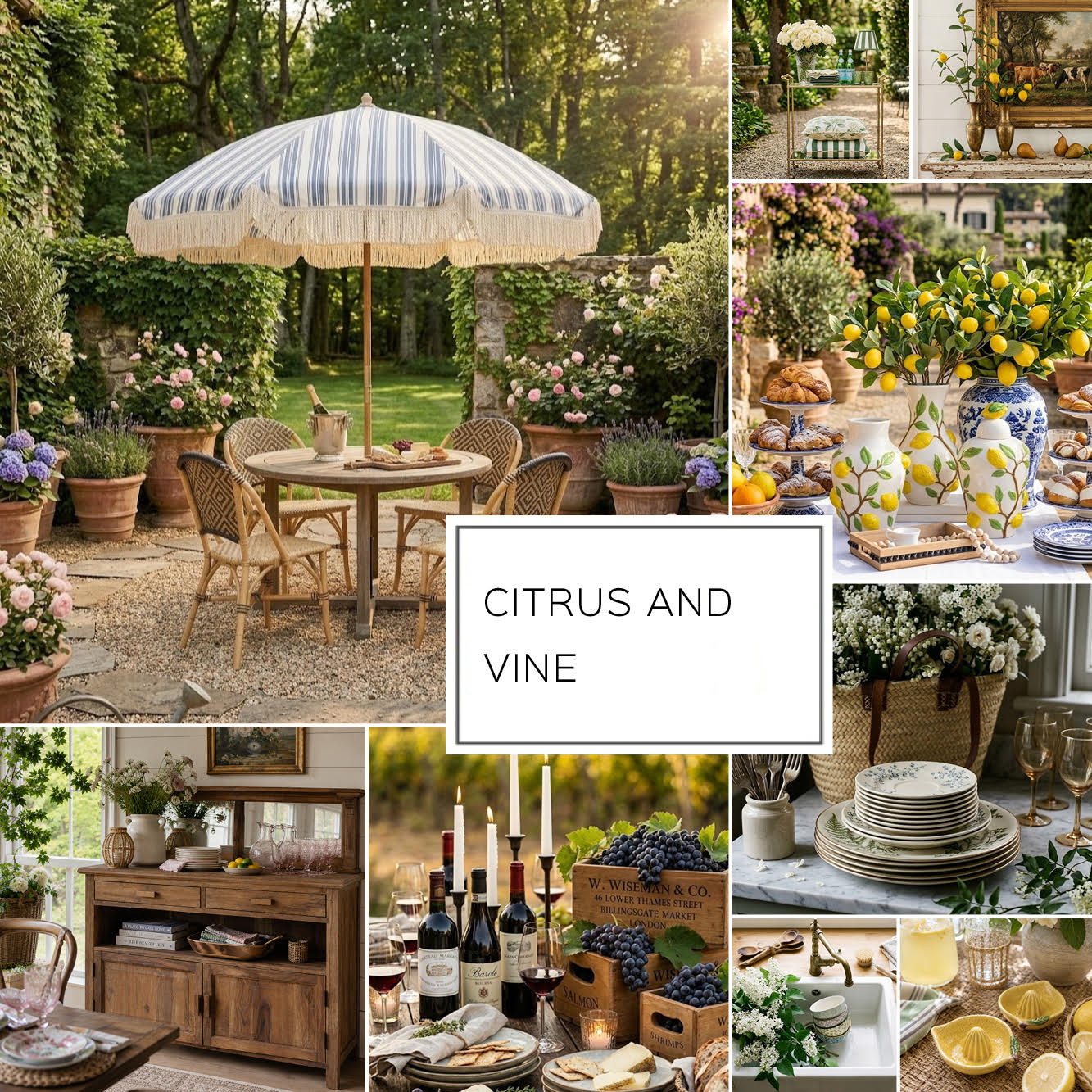 CITRUS AND VINE