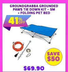 GroundGrabba Grounded Paws Tie Down Kit - 5m + Folding Pet Bed
