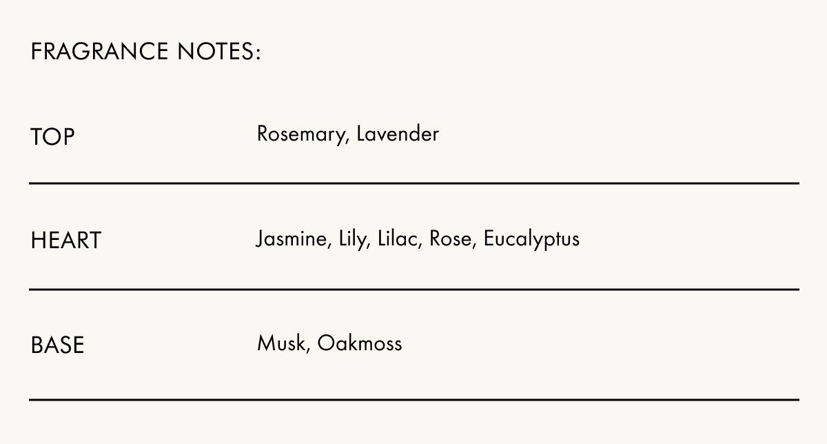 Surface Cleaner fragrance notes