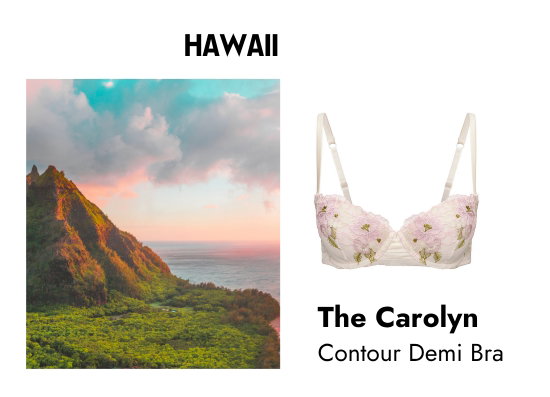 Hawaii: The Carolyn Contour Demi Bra