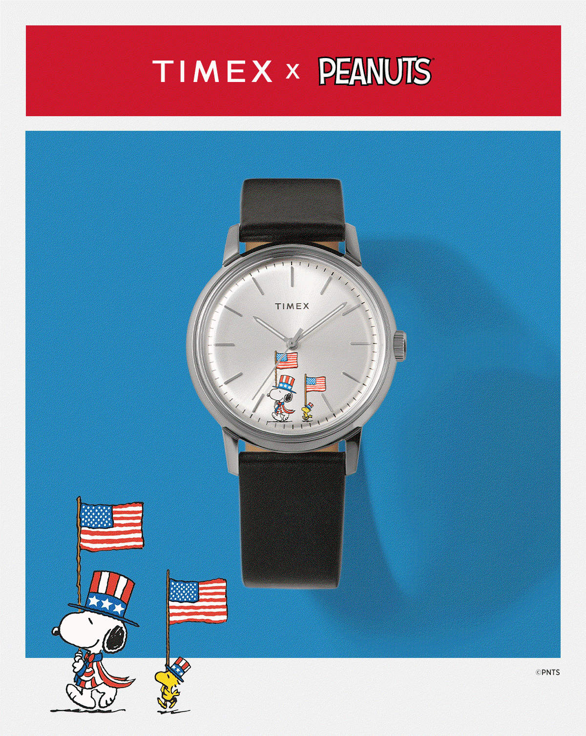 250 Years of America The Beautiful - Timex