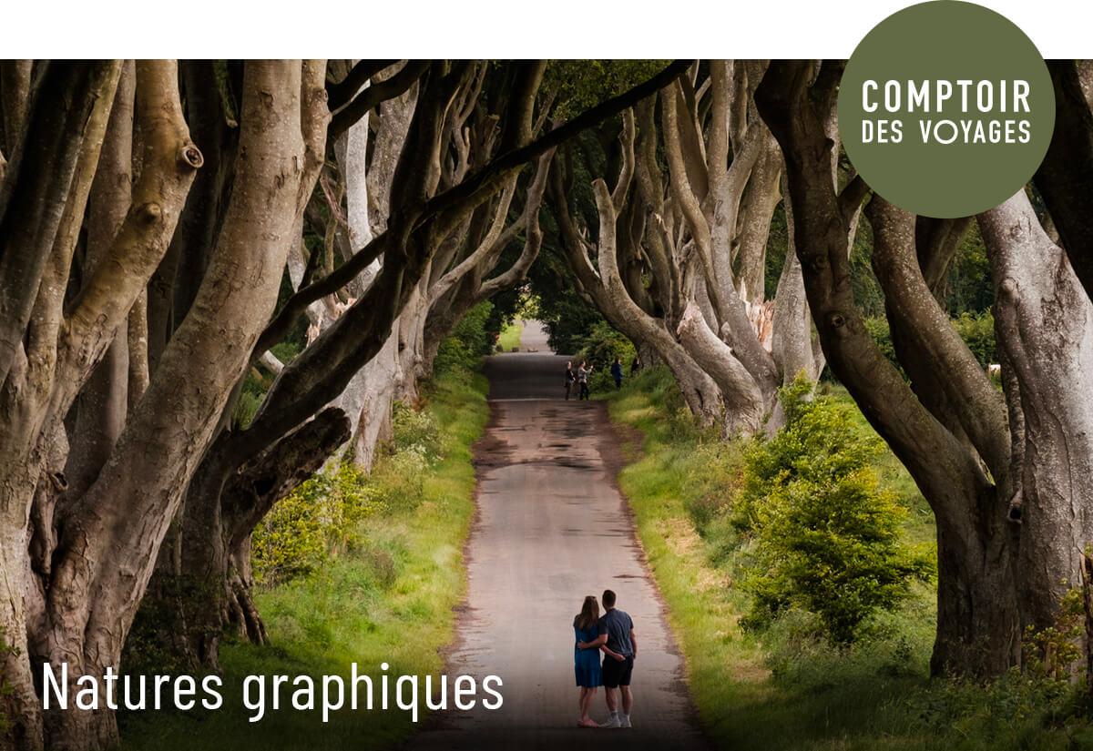 Natures graphiques
