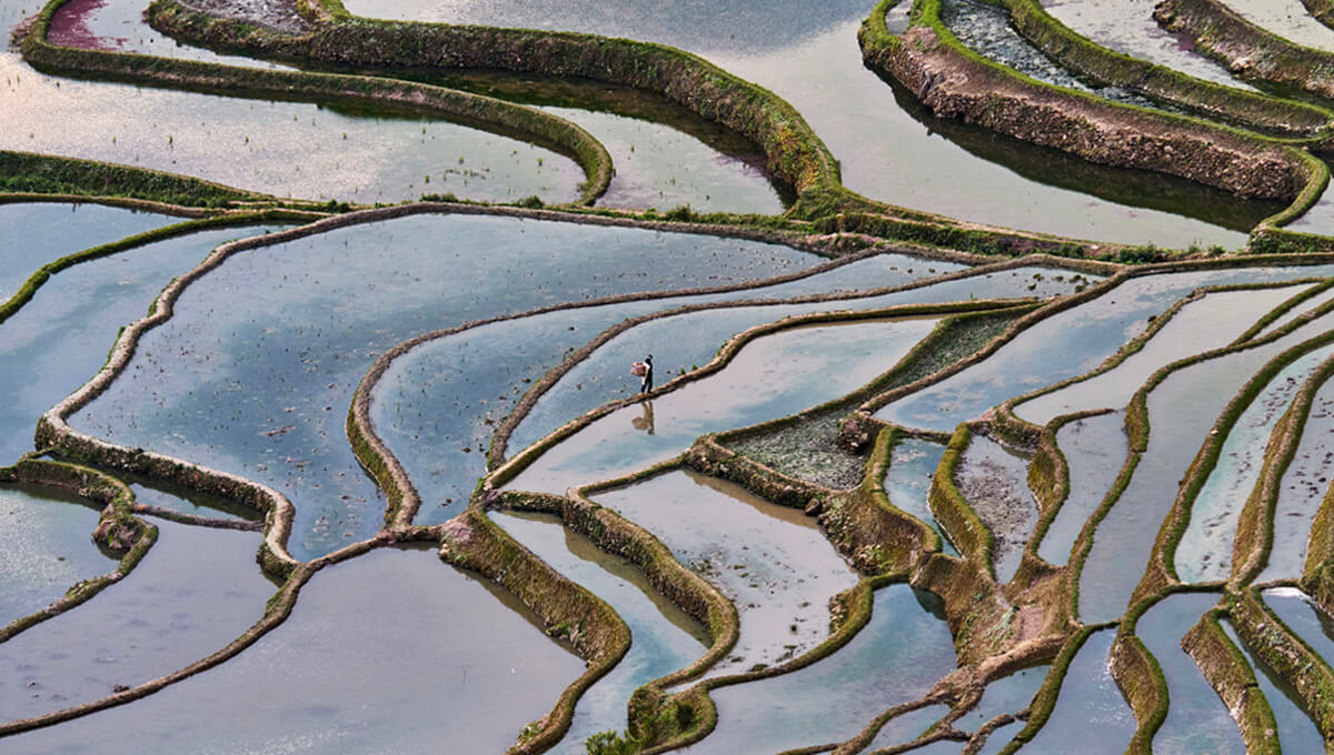 Immersion en Chine