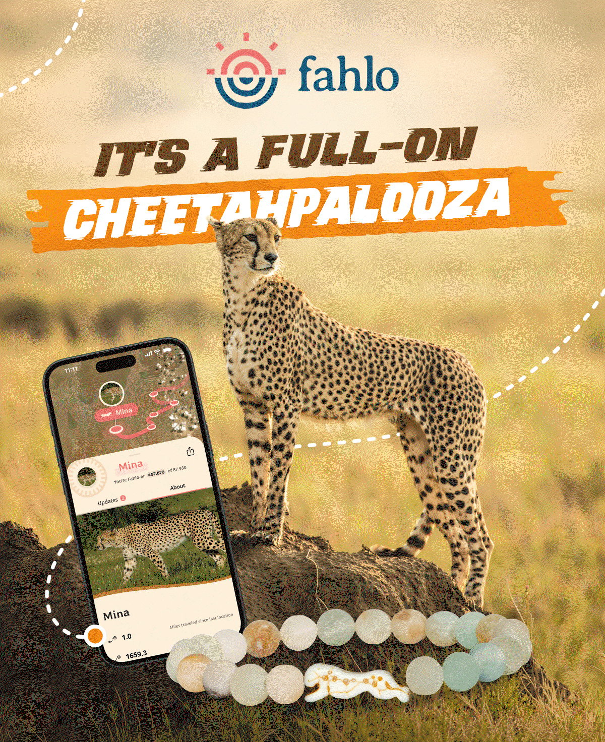 Cheetah tracking is back for 48 hours and it is a full-on Cheetahpalooza. Track a cheetah on Fahlo before they are gone again in a flash.