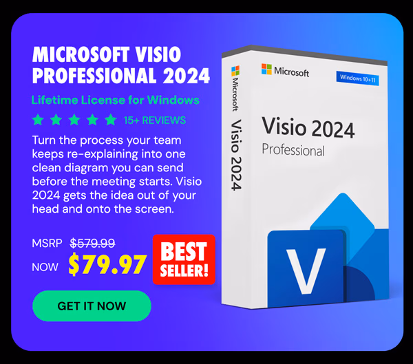 Microsoft Visio Professional 2024: Lifetime License for Windows