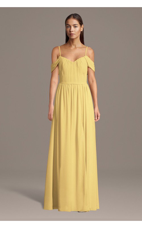 Chiffon Off-the-Shoulder Pleated Bodice Dress