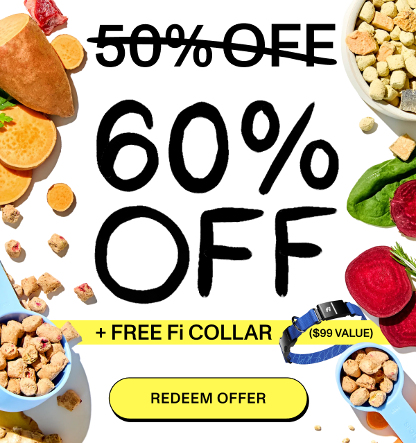 60% Off + FREE Fi Collar ($99 Value) 