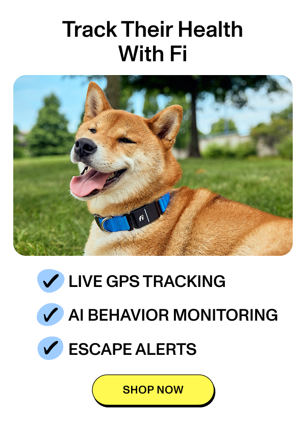 Track their health with Fi