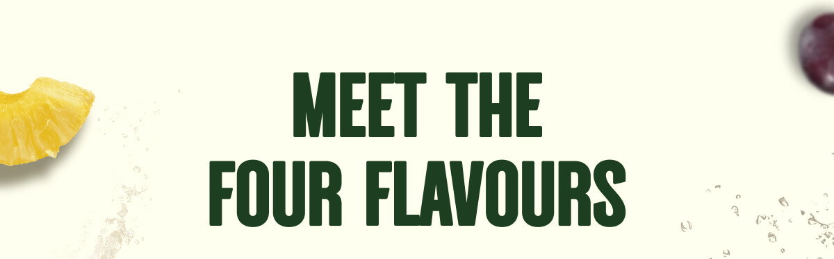 MEET THE FOUR FLAVOURS 