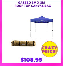 - Gazebo 3m x 3m + Roof Top Canvas Bag