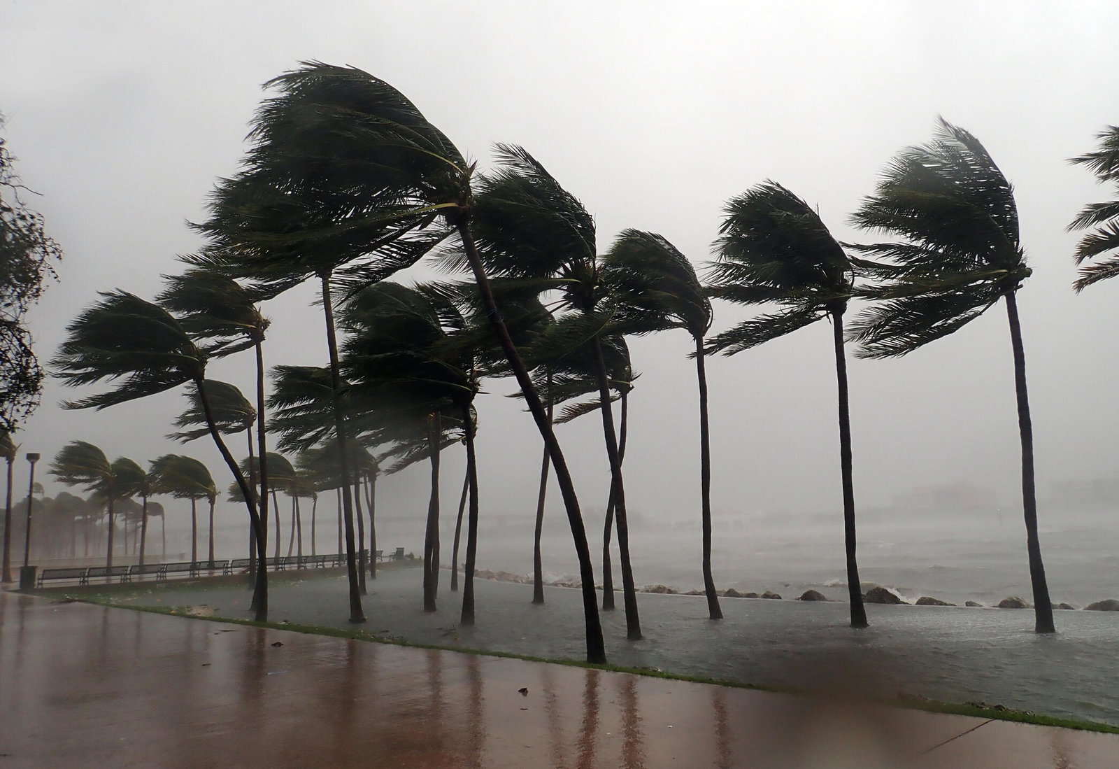 These Weather Apps Help You Track Tropical Storm Arthur and Other Severe Summer Storms