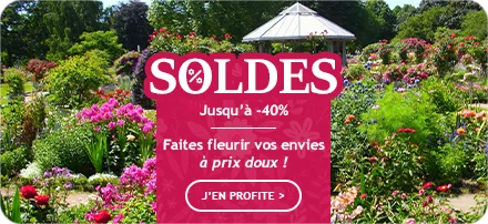 Les soldes d’été commencent jusqu’à -40% de remise !