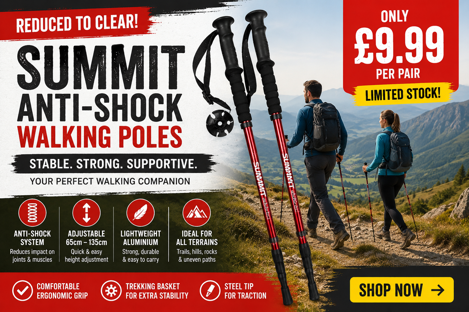 Summit Walking Poles