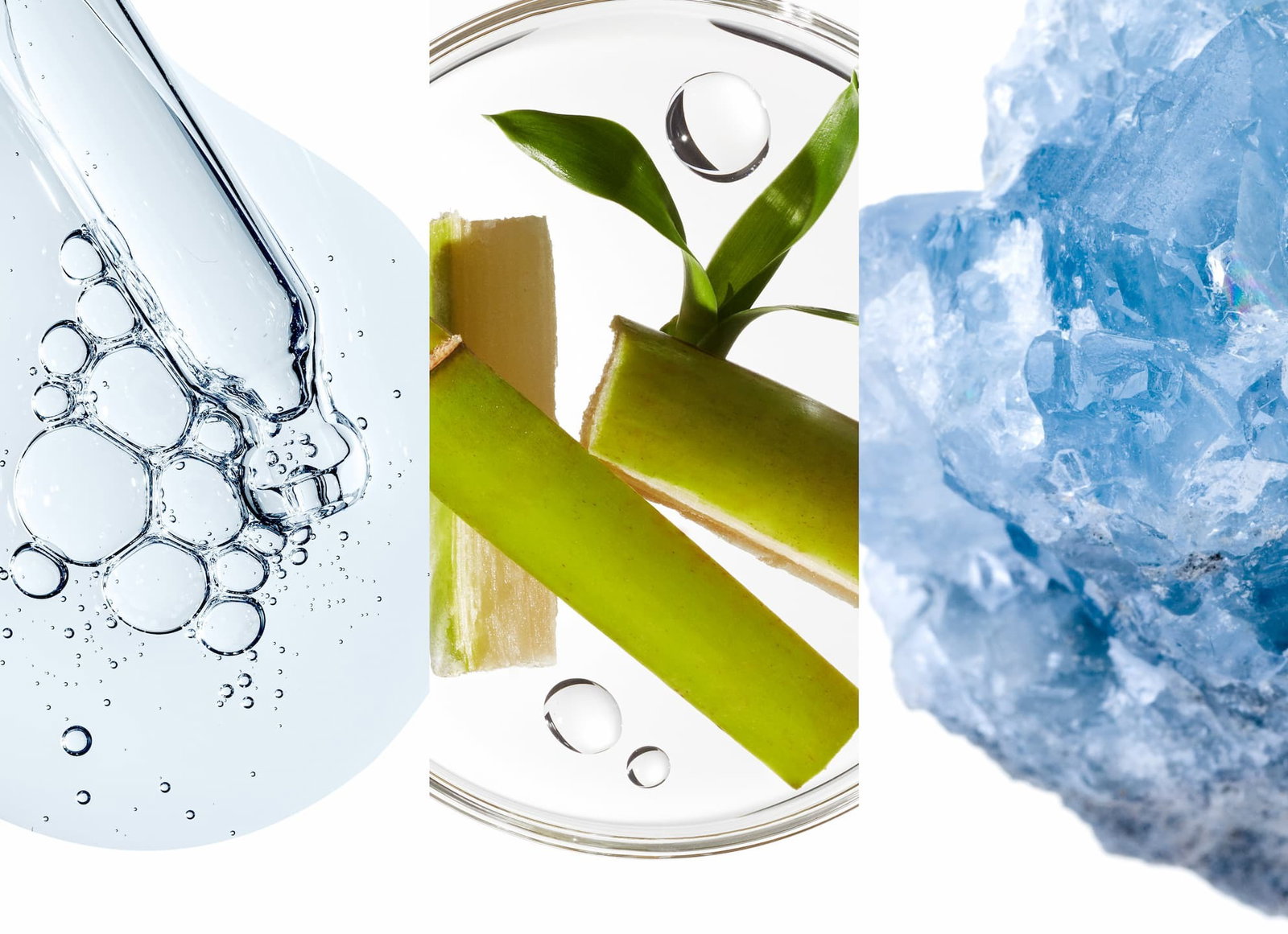 Tinted Moisturizer Ingredients