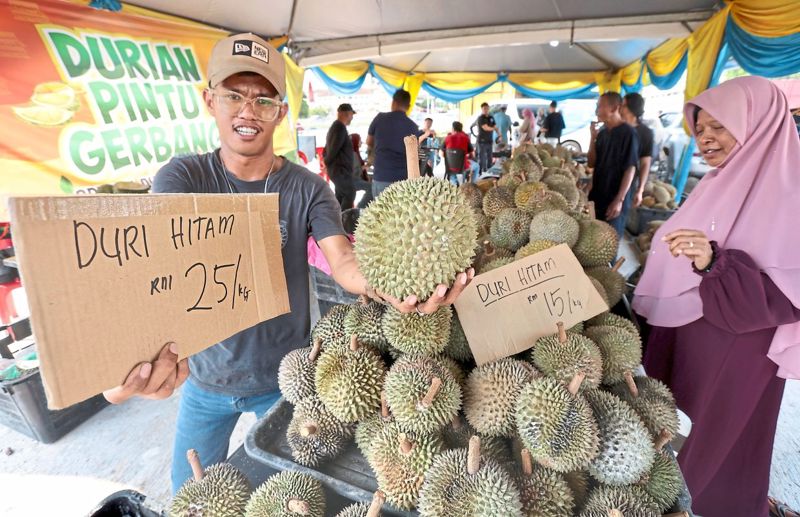 Penang durian prices still up
