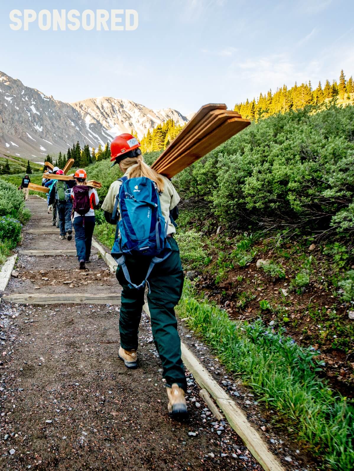 How We All Can Help the National Forests