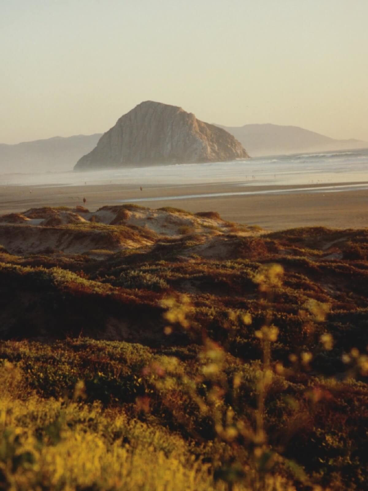 A Road Trip to Seaside Paradise