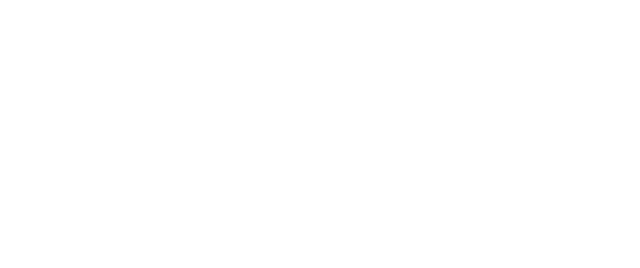 The Toilet Brand You Can Trust