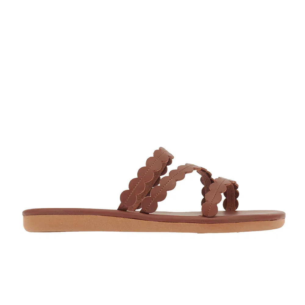 Image of Oceanis Chestnut
