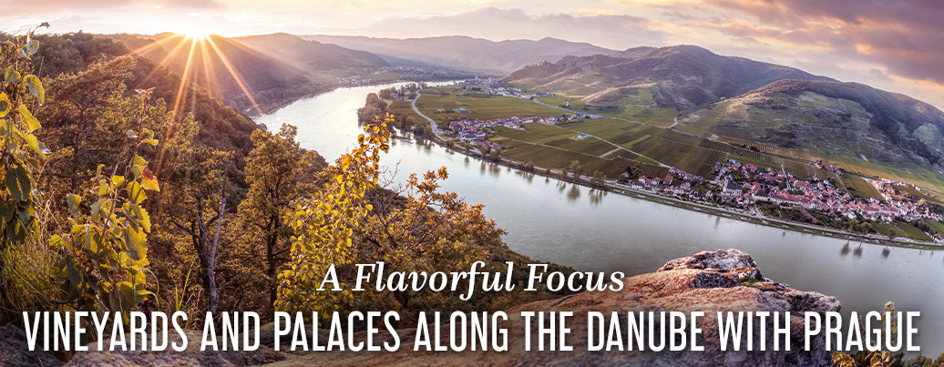 Vineyards And Palaces Along The Danube With Prague