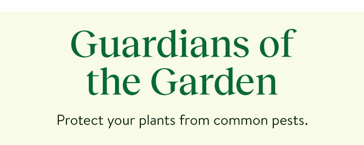 Weed & Pest Control