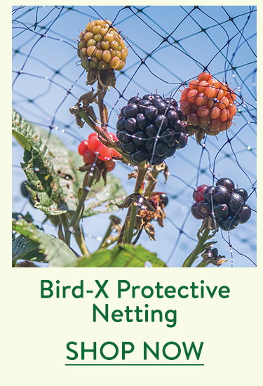 Bird X Protective Netting