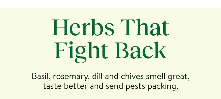 All Herb Seeds & Plants