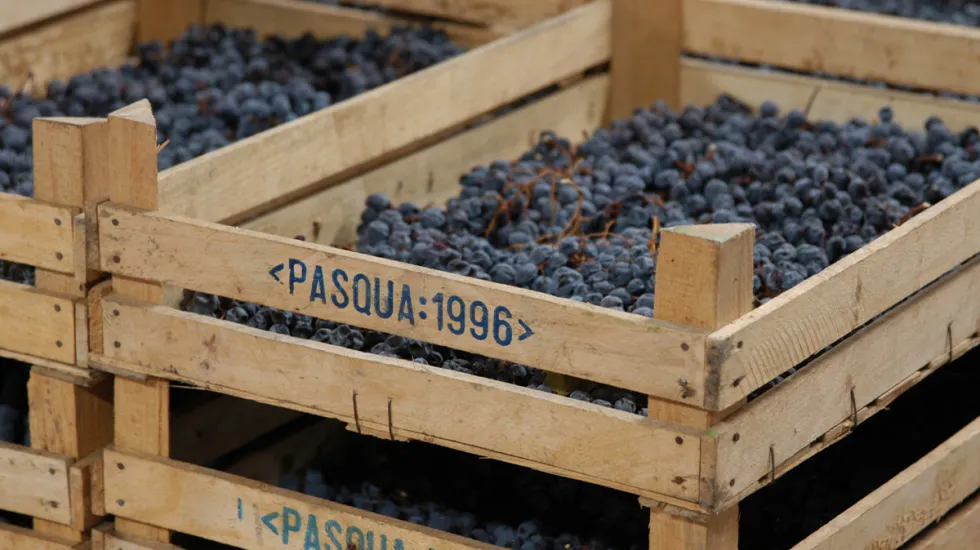 A Lighter, Fresher Take on This Wine Made From Dried Grapes