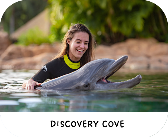 Discovery Cove