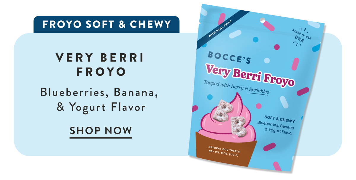 Shop Very Berri Froyo