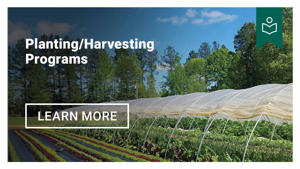 Succession Planting Programs - Learn More