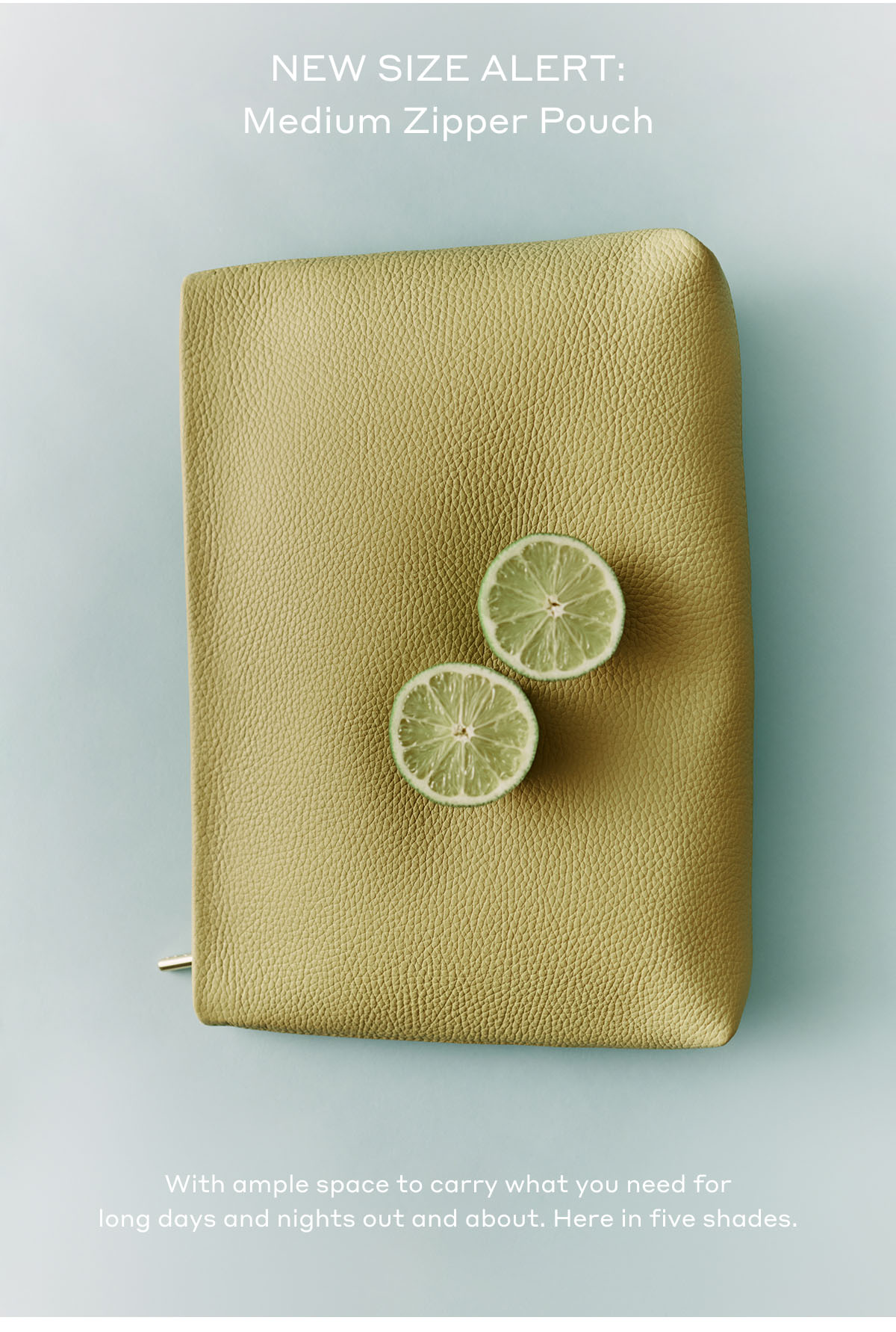 NEW SIZE ALERT: Medium Zipper Pouch With ample space to carry what you need for long days and nights out and about. Here in five shades.