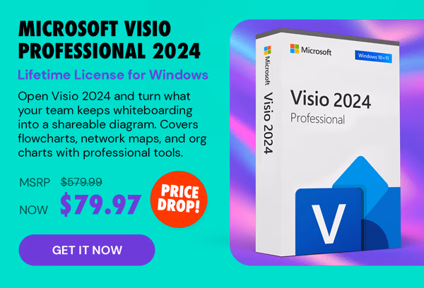 Microsoft Visio Professional 2024: Lifetime License for Windows