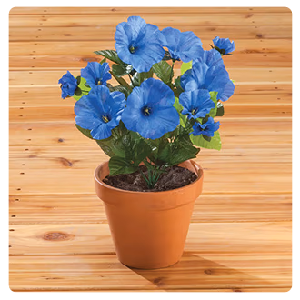 Petunia Bush by OakRidge™