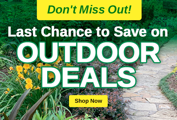 Shop All Outdoor