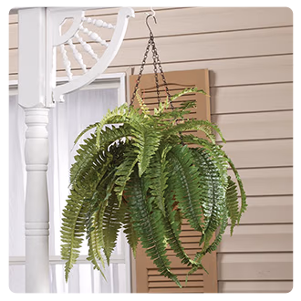 Fully Assembled Fern Hanging Basket by OakRidge™