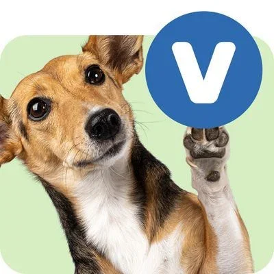 Vet Food