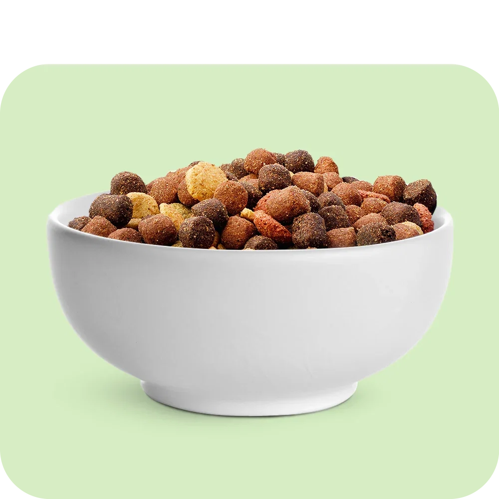 Dry Food