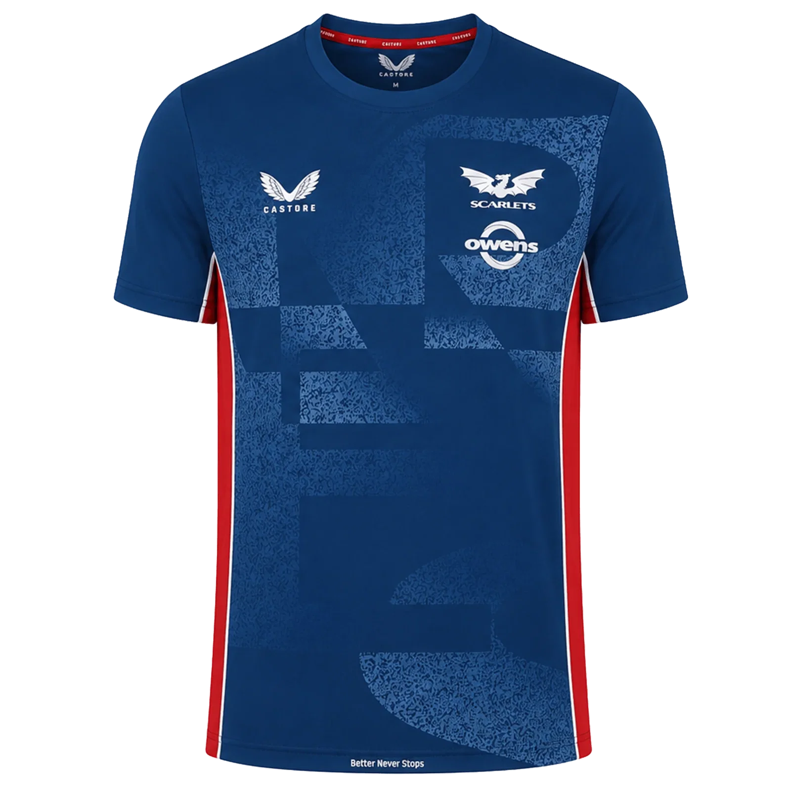 Image of Scarlets Training Tee 22/23 by Castore