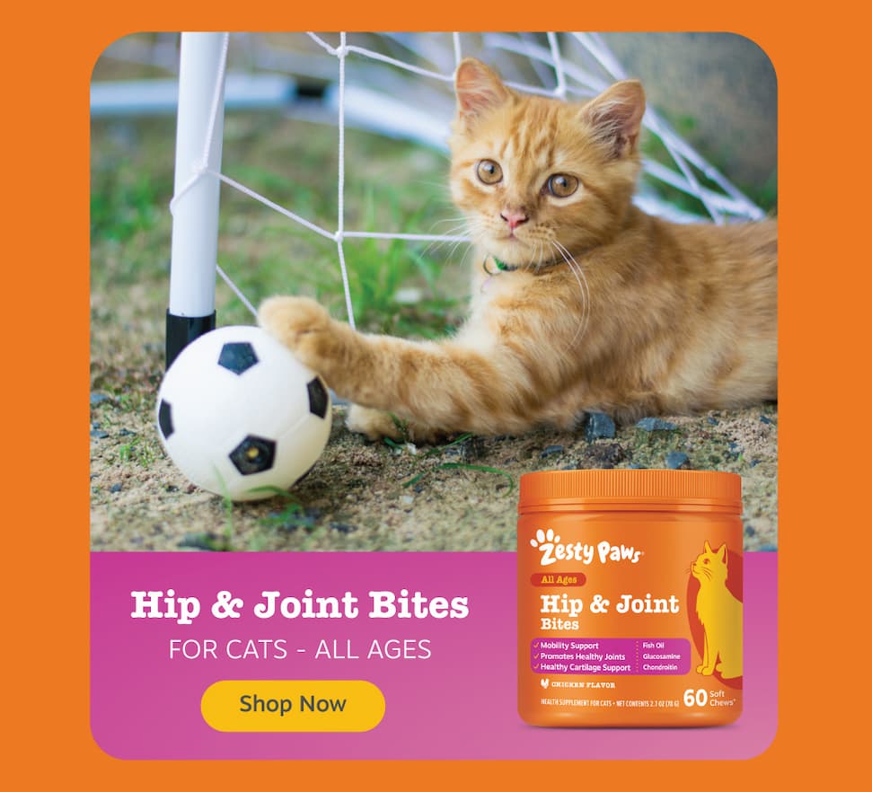 Cat Hip & Joint Bites: Shop Now