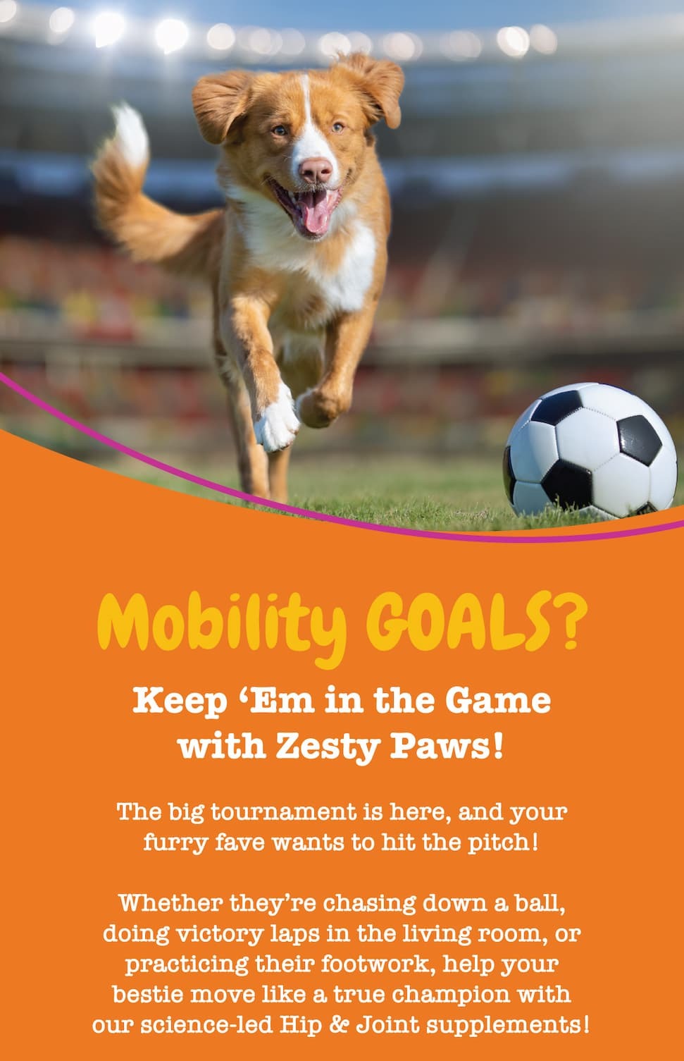 Mobility GOALS? Keep 'Em in the Game with Zesty Paws! Shop Hip & Joint Bites