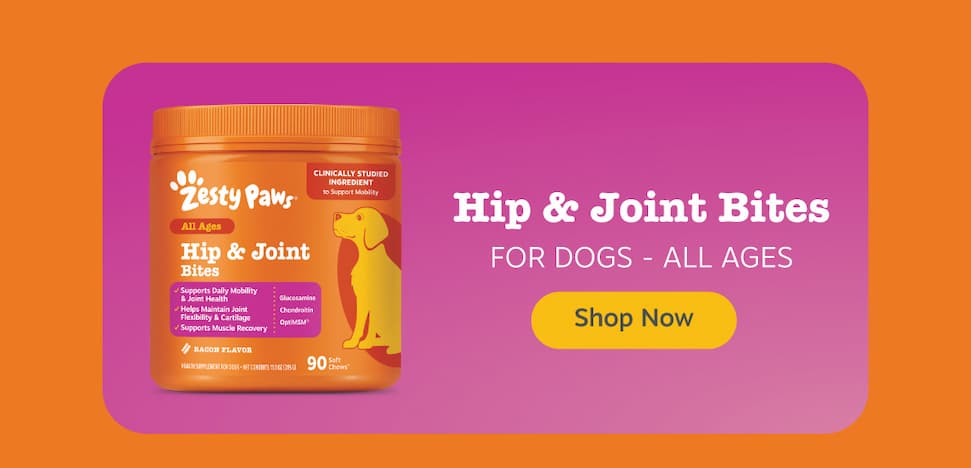 Hip & Join Bites for Dogs: Shop Now