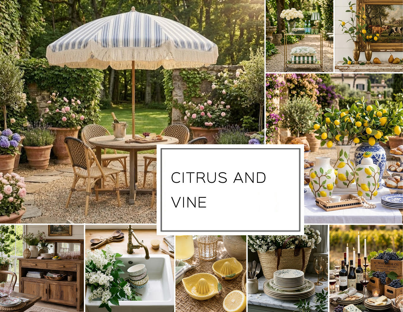CITRUS AND VINE