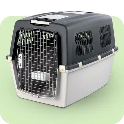 Dog Travel