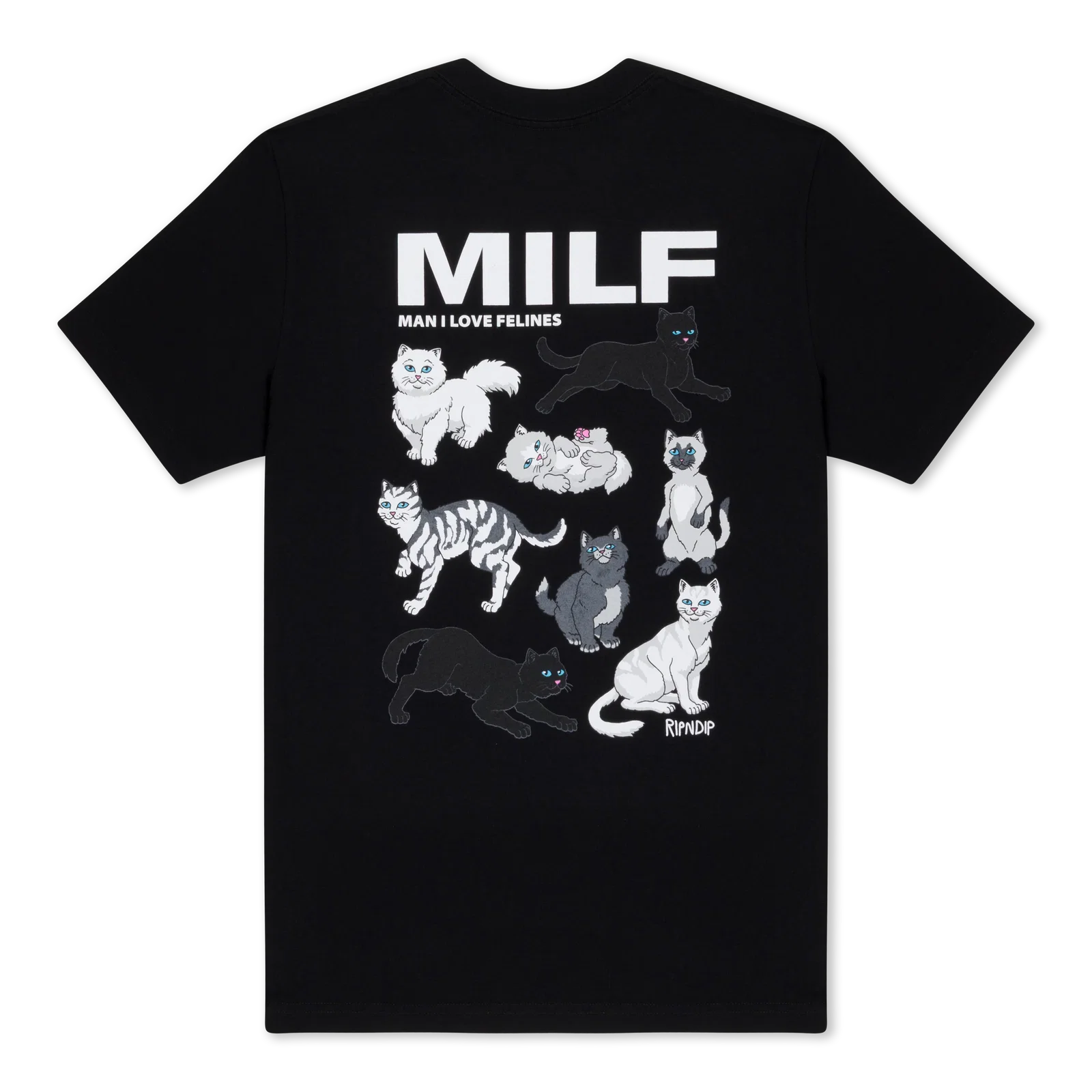 Image of Man I Love Felines Tee (Black)