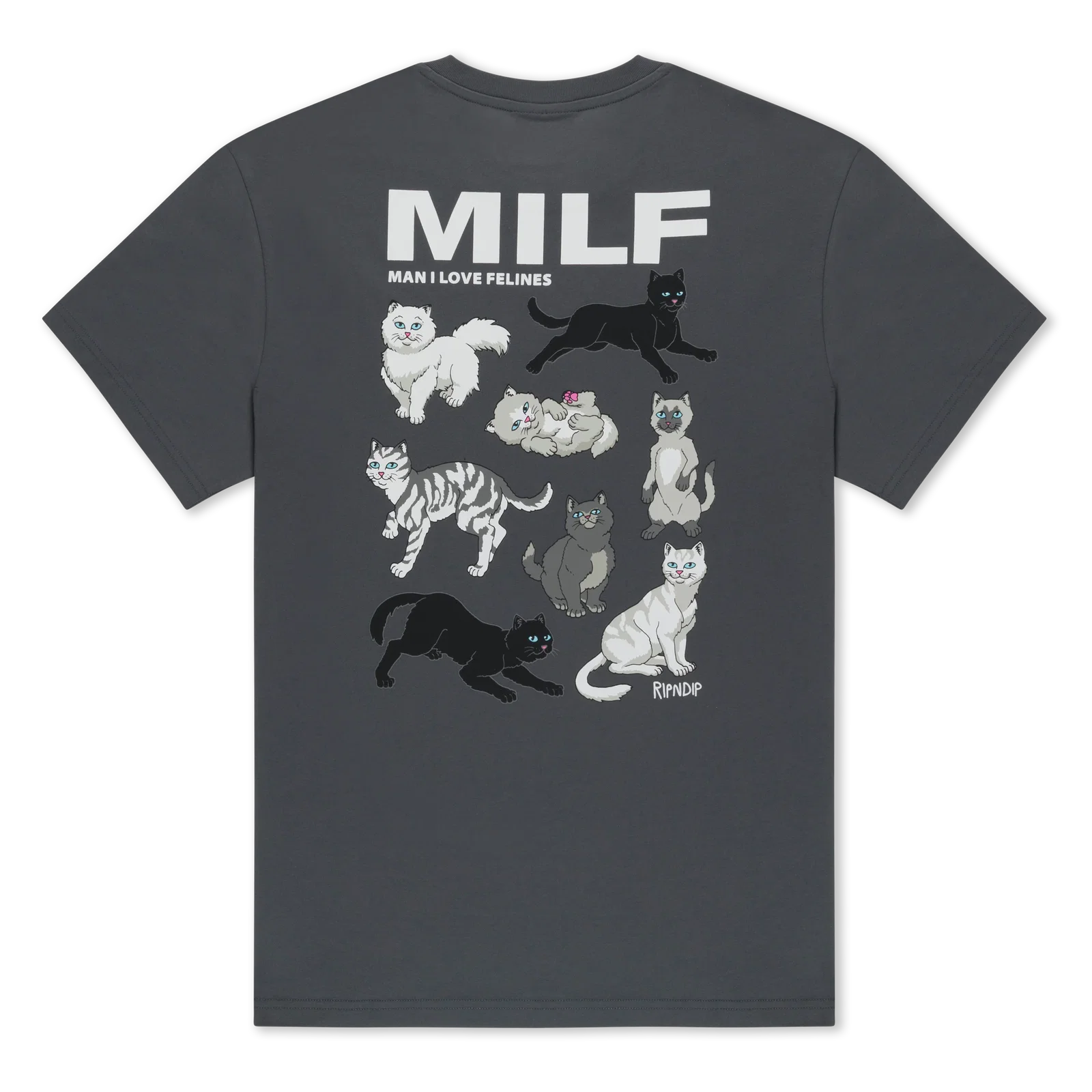 Image of Man I Love Felines Tee (Charcoal)