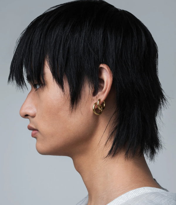 Series Earrings